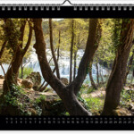 sandra sachsenhauser wall calendar April 2020