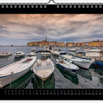 sandra sachsenhauser wall calendar Aug 2020