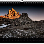sandra sachsenhauser wall calendar Dec 2020