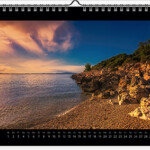 sandra sachsenhauser wall calendar July 2020