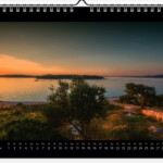 sandra sachsenhauser wall calendar Sep 2020